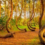 Escapadas Exclusivas para Conocedores »