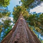 Pueblos Fantasma que Debes Visitar »