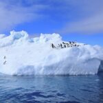 Los Autos Más Odiados por los Expertos Automotrices (y por qué) »