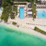 ¿Cuáles son los autos más minimalistas con diseños que enamoran? »