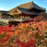Ciudades europeas con mercados de otoño imperdibles para comer local »