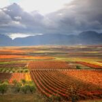 color, mercados y luz dorada »