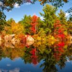 Los híbridos enchufables del 2025 con más autonomía eléctrica útil para comutes diarios