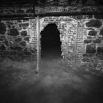 Subaru Forester Híbrido del 2025, un SUV más capaz sus competidores »